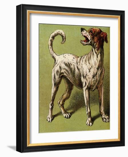 Mother Hubbard, Laughing-Harrison Weir-Framed Art Print