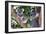 Mother Koala And Young-Tony Camacho-Framed Photographic Print