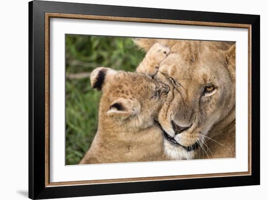 Mother Love-Alessandro Catta-Framed Giclee Print