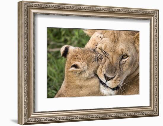 Mother Love-Alessandro Catta-Framed Photographic Print