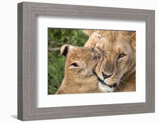 Mother Love-Alessandro Catta-Framed Photographic Print