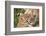 Mother Love-Alessandro Catta-Framed Photographic Print