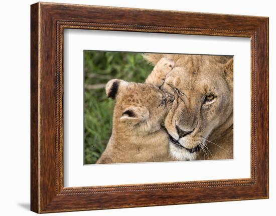 Mother Love-Alessandro Catta-Framed Photographic Print