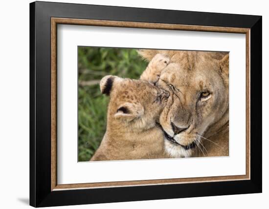 Mother Love-Alessandro Catta-Framed Photographic Print