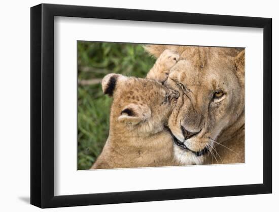 Mother Love-Alessandro Catta-Framed Photographic Print