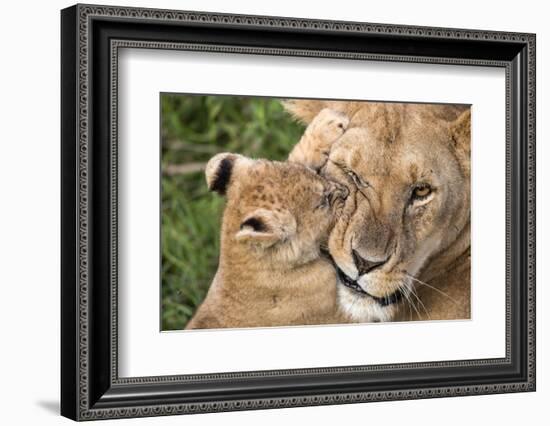 Mother Love-Alessandro Catta-Framed Photographic Print