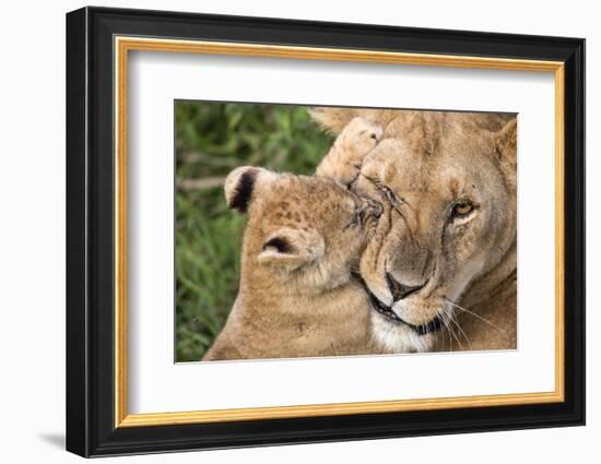 Mother Love-Alessandro Catta-Framed Photographic Print