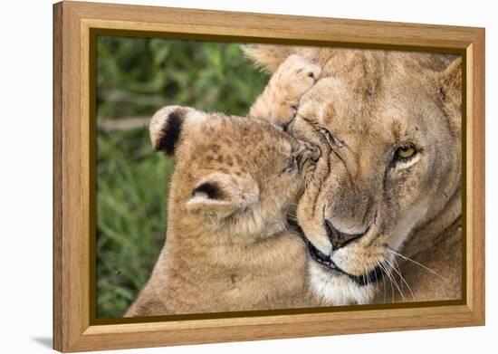 Mother Love-Alessandro Catta-Framed Premier Image Canvas