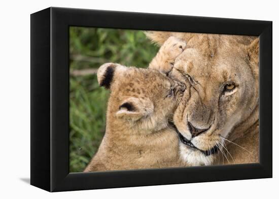 Mother Love-Alessandro Catta-Framed Premier Image Canvas