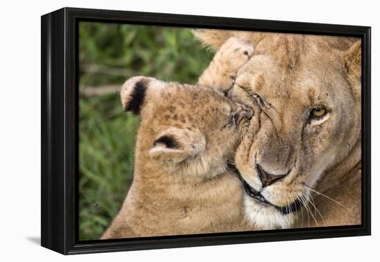 Mother Love-Alessandro Catta-Framed Premier Image Canvas