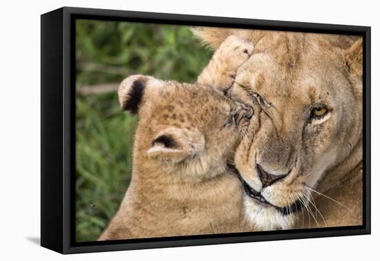 Mother Love-Alessandro Catta-Framed Premier Image Canvas