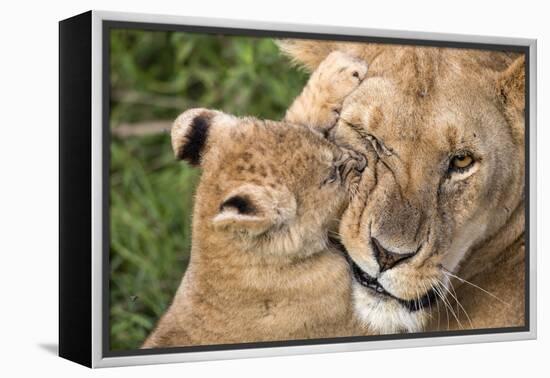 Mother Love-Alessandro Catta-Framed Premier Image Canvas