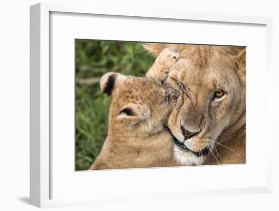 Mother Love-Alessandro Catta-Framed Photographic Print