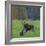 Mother Moose, with calf, grazing in meadow, Finland-Jussi Murtosaari-Framed Photographic Print