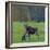 Mother Moose, with calf, grazing in meadow, Finland-Jussi Murtosaari-Framed Photographic Print