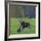 Mother Moose, with calf, grazing in meadow, Finland-Jussi Murtosaari-Framed Photographic Print