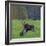 Mother Moose, with calf, grazing in meadow, Finland-Jussi Murtosaari-Framed Photographic Print