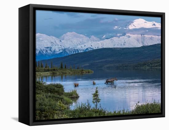 Mother Moose-Howard Newcomb-Framed Premier Image Canvas