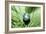 Mother Nature, Conceptual Image-Detlev Van Ravenswaay-Framed Photographic Print