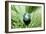 Mother Nature, Conceptual Image-Detlev Van Ravenswaay-Framed Photographic Print