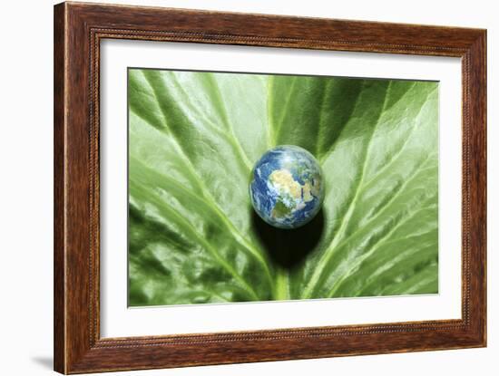 Mother Nature, Conceptual Image-Detlev Van Ravenswaay-Framed Photographic Print