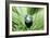 Mother Nature, Conceptual Image-Detlev Van Ravenswaay-Framed Photographic Print