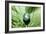 Mother Nature, Conceptual Image-Detlev Van Ravenswaay-Framed Photographic Print