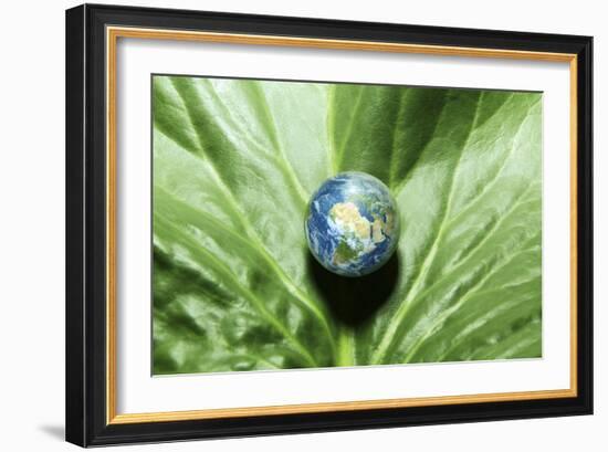 Mother Nature, Conceptual Image-Detlev Van Ravenswaay-Framed Photographic Print