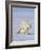 Mother Polar Bear with Three Cubs on the Tundra, Wapusk National Park, Manitoba, Canada-Keren Su-Framed Photographic Print