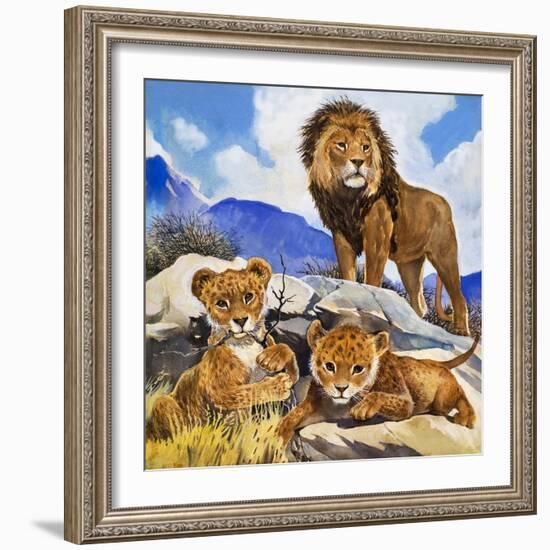 Mother's Gone A-Hunting, from 'Focus on Baby Animals'-G. W Backhouse-Framed Giclee Print