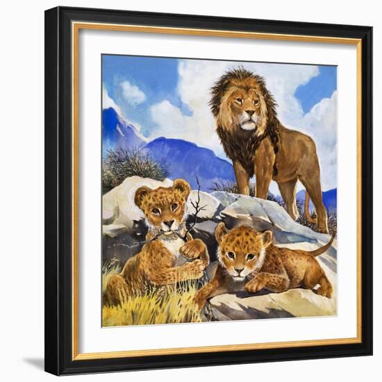 Mother's Gone A-Hunting, from 'Focus on Baby Animals'-G. W Backhouse-Framed Giclee Print