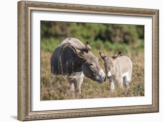 Mother's Love-Matt Roseveare-Framed Giclee Print