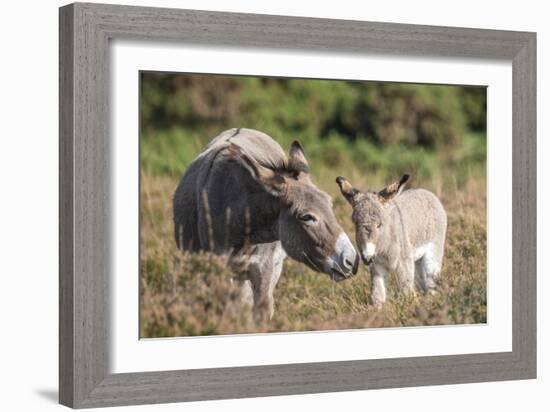 Mother's Love-Matt Roseveare-Framed Giclee Print