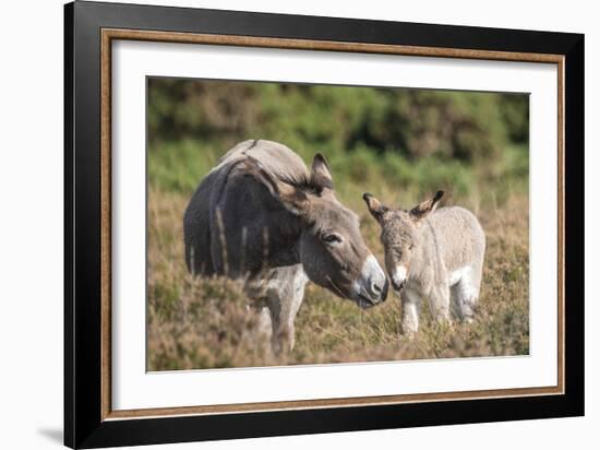 Mother's Love-Matt Roseveare-Framed Giclee Print