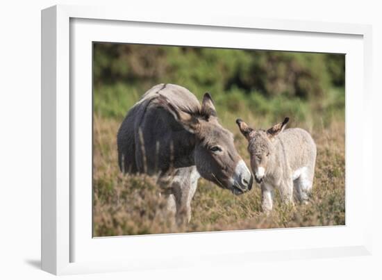 Mother's Love-Matt Roseveare-Framed Giclee Print