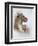 Mother's Pride-Ruane Manning-Framed Premium Giclee Print