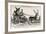 Mother Shipton in a Reindeer-Drawn Carriage-null-Framed Giclee Print