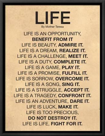 Mother Teresa Quote: “Life is a game, play it.”