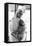 Mother Teresa with a Baby-null-Framed Premier Image Canvas