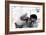 Mother Teresa with a Child-null-Framed Photographic Print