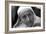 Mother Teresa-null-Framed Photographic Print