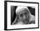 Mother Teresa-null-Framed Photographic Print