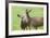 Mother With Fawn-Donald Paulson-Framed Giclee Print