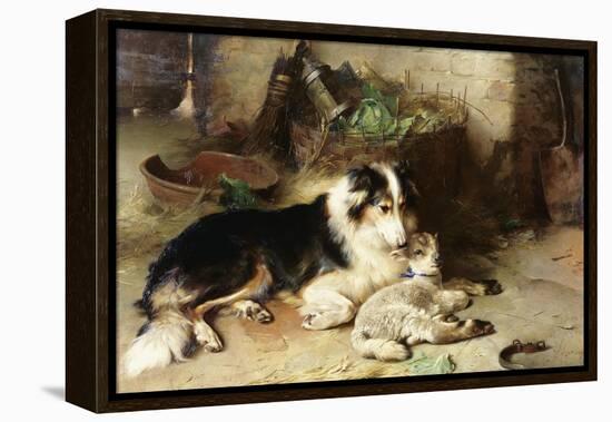 Motherless: the Shepherd's Pet, 1897-Walter Hunt-Framed Premier Image Canvas