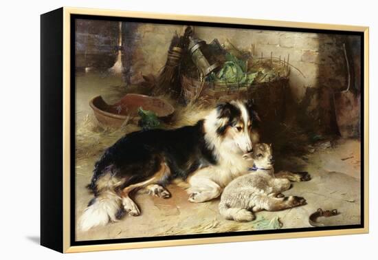 Motherless: the Shepherd's Pet, 1897-Walter Hunt-Framed Premier Image Canvas