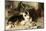 Motherless: the Shepherd's Pet, 1897-Walter Hunt-Mounted Giclee Print