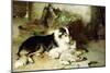 Motherless-The Shepherd's Pet, 1897-Walter Hunt-Mounted Giclee Print