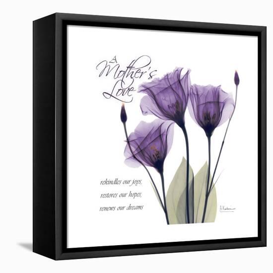 Mothers Love Gentian-Albert Koetsier-Framed Stretched Canvas