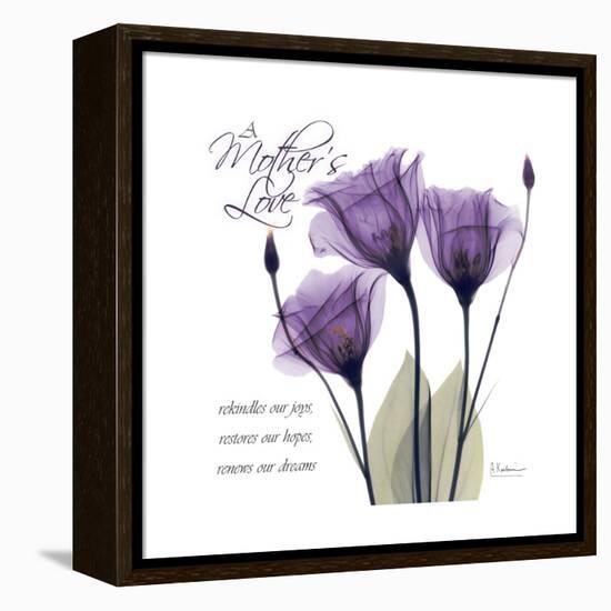 Mothers Love Gentian-Albert Koetsier-Framed Stretched Canvas