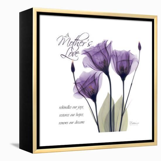 Mothers Love Gentian-Albert Koetsier-Framed Stretched Canvas